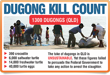 dugong kill count