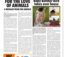 newsletter cover page