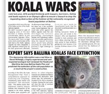 afa jan 2017 newsletter cover
