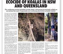 afa october 2017 Newsletter
