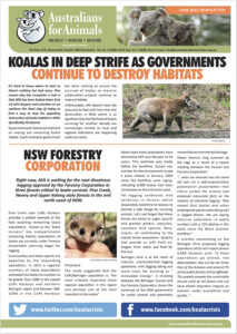afa june 2021 newsletter